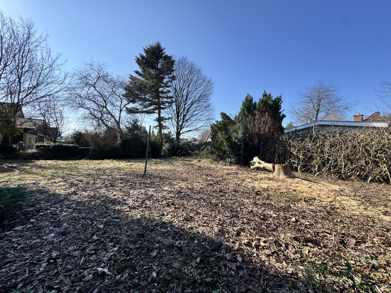 Blick Garten Bungalow Rellingen