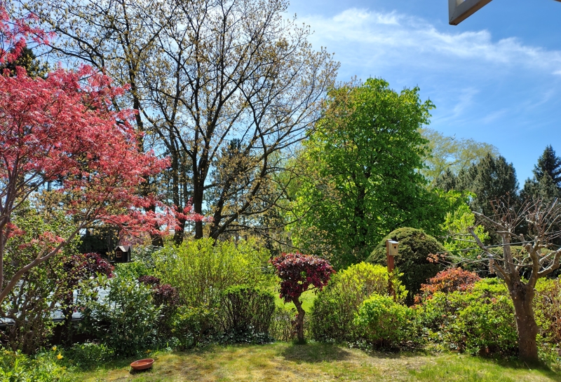 Blick von der Terrasse Erdgeschosswohnung Rellingen